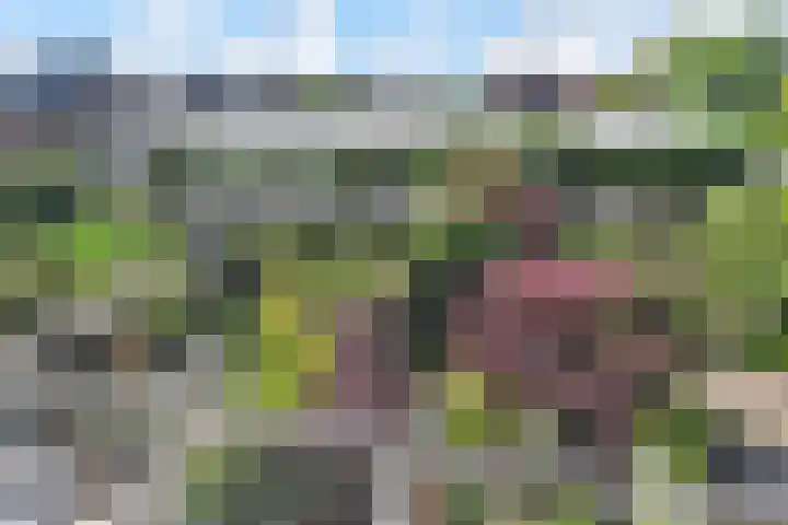 Sieraadlaan 45 Zoetermeer thumbnail 5