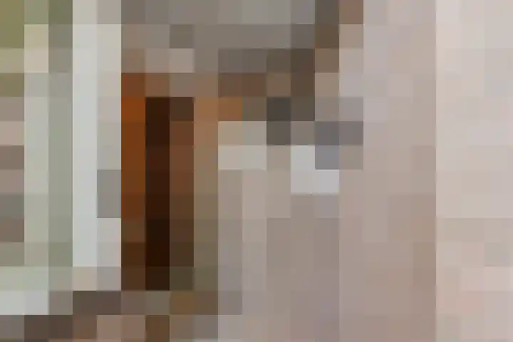 Sieraadlaan 45 Zoetermeer thumbnail 7