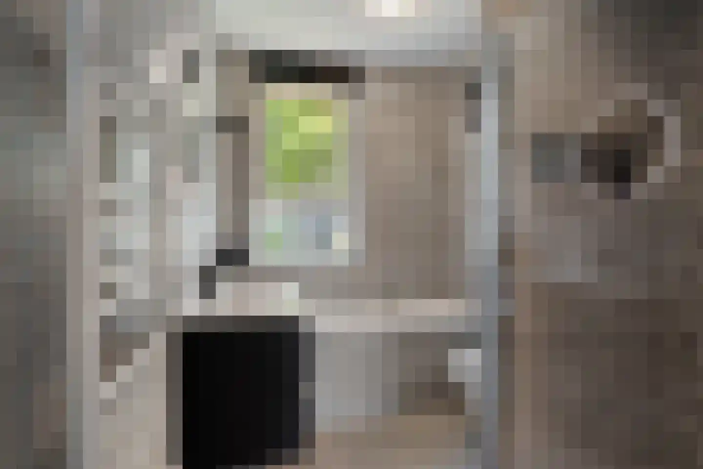 Sieraadlaan 53 Zoetermeer thumbnail 34