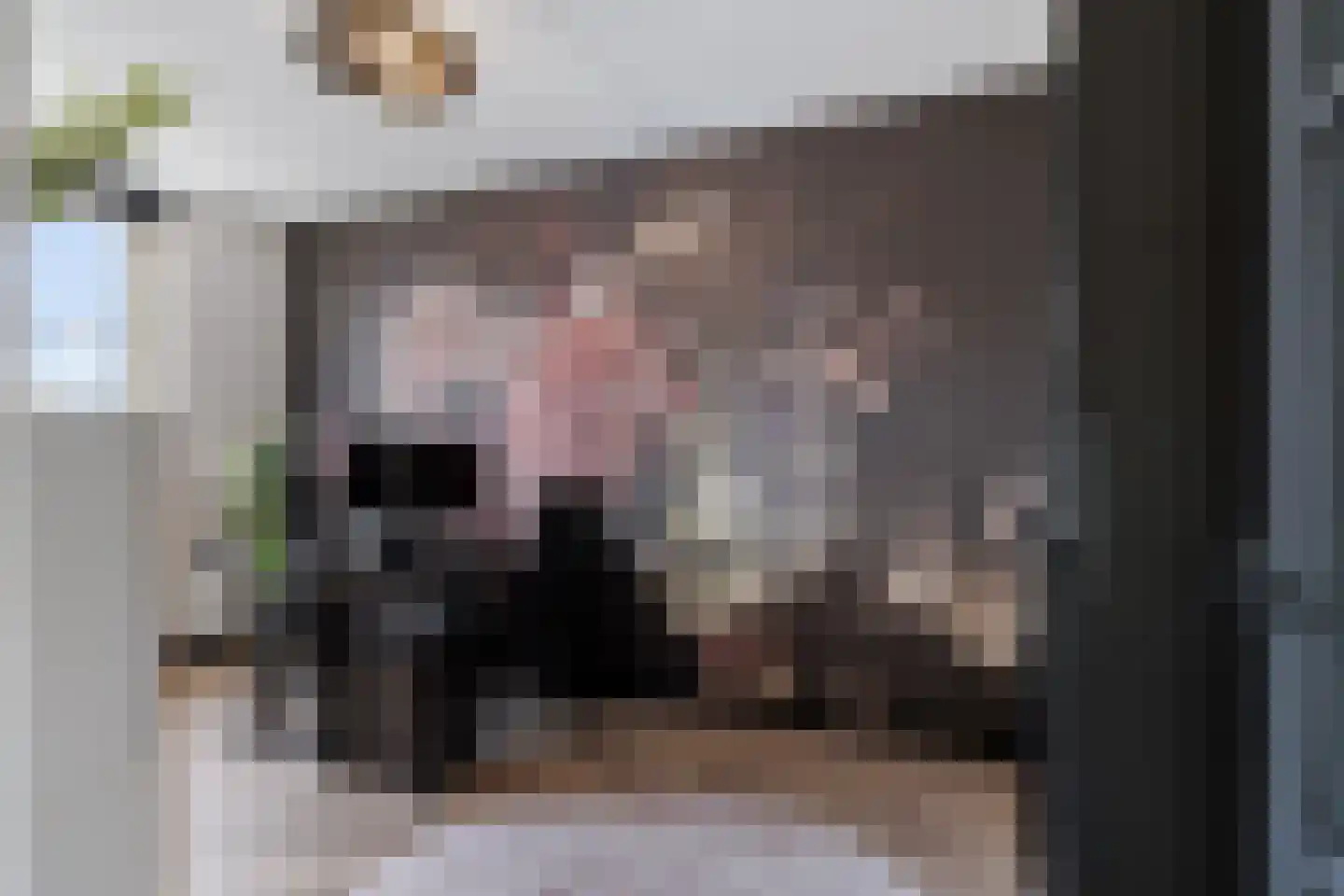 Sieraadlaan 53 Zoetermeer thumbnail 36