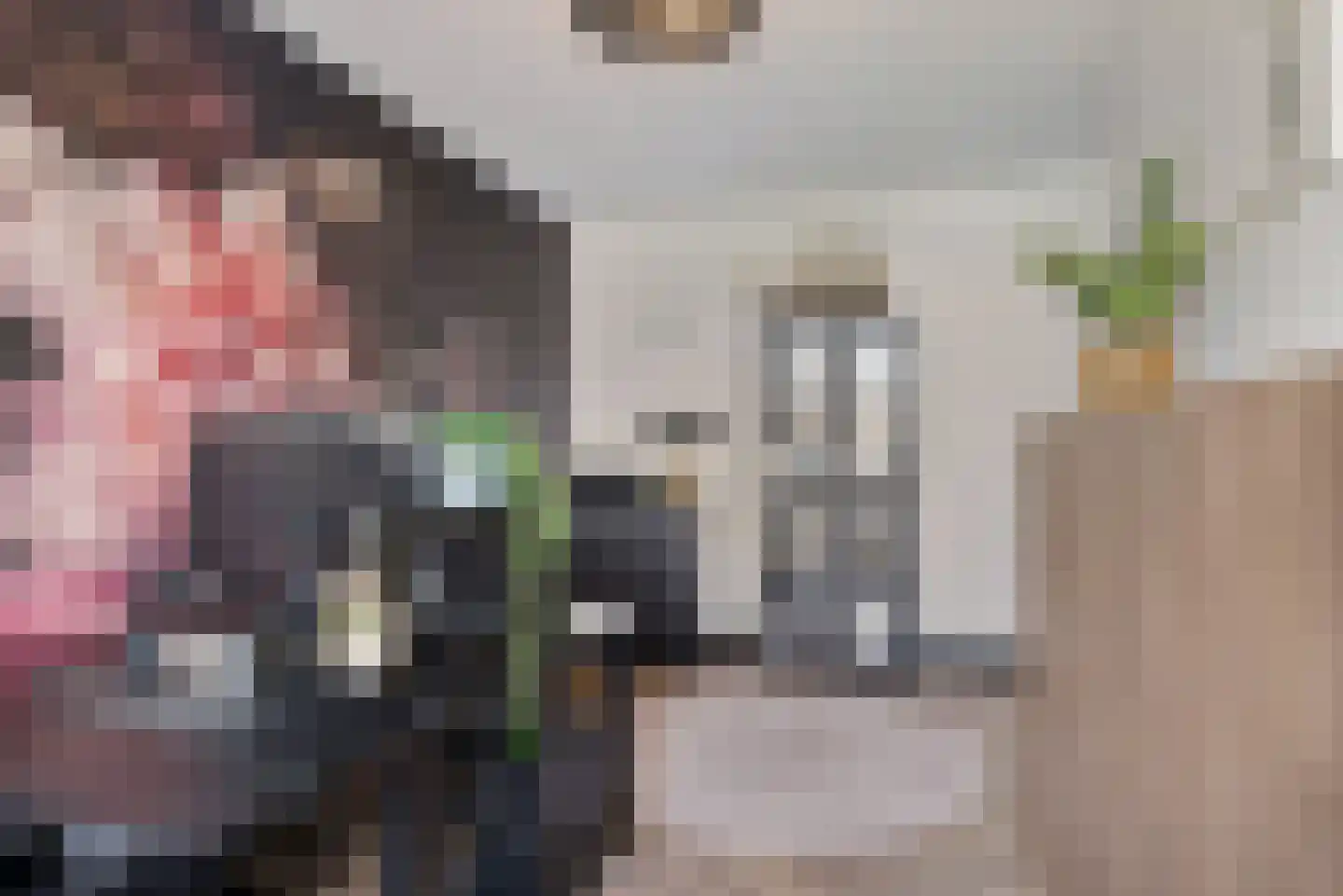 Sieraadlaan 53 Zoetermeer thumbnail 38