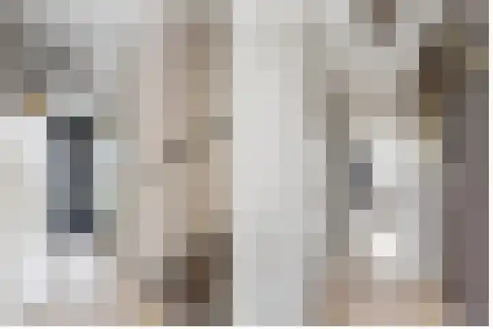 Sieraadlaan 89 Zoetermeer thumbnail 11
