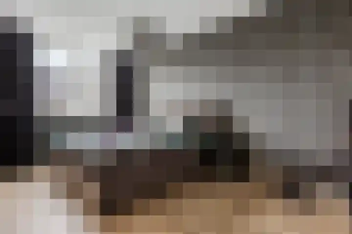 Sieraadlaan 89 Zoetermeer thumbnail 13
