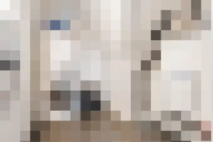 Sieraadlaan 89 Zoetermeer thumbnail 25