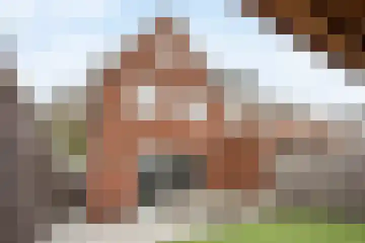 Sieraadlaan 89 Zoetermeer thumbnail 28