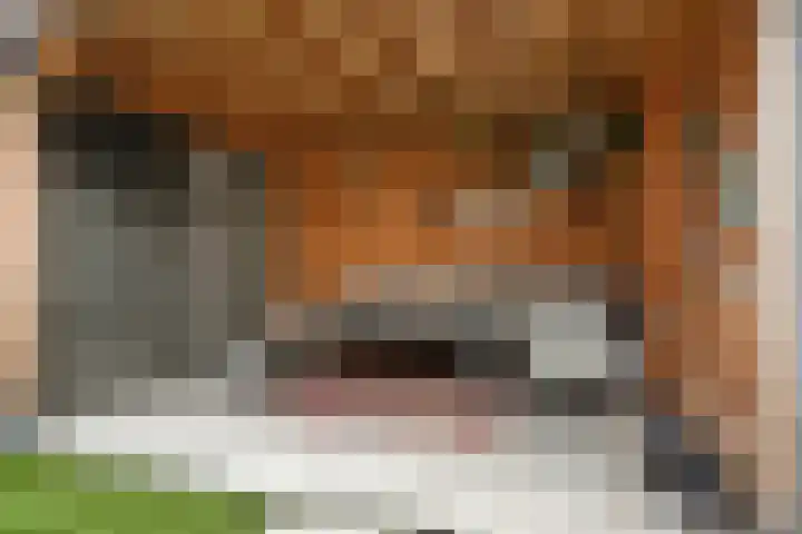 Sieraadlaan 89 Zoetermeer thumbnail 29