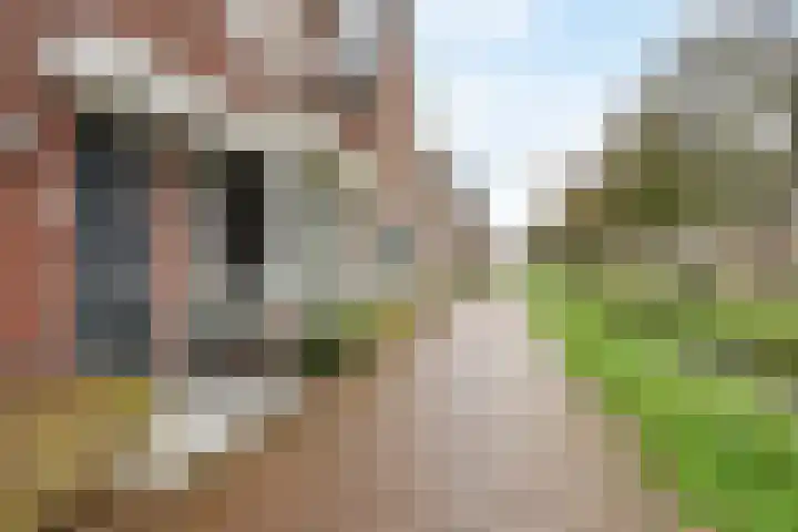 Sieraadlaan 89 Zoetermeer thumbnail 31