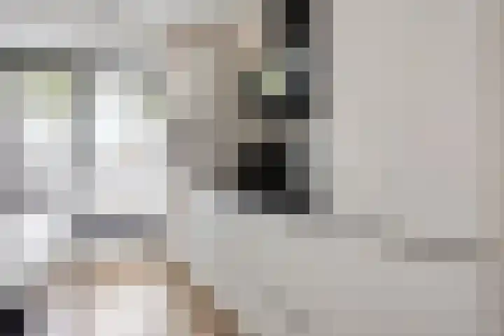 Sieraadlaan 89 Zoetermeer thumbnail 8