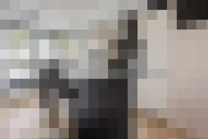 Sieraadlaan 89 Zoetermeer thumbnail 9