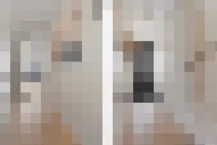 Sieraadlaan 95 Zoetermeer thumbnail 12