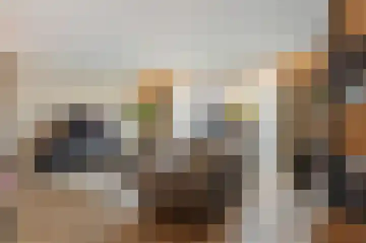 Sieraadlaan 95 Zoetermeer thumbnail 18