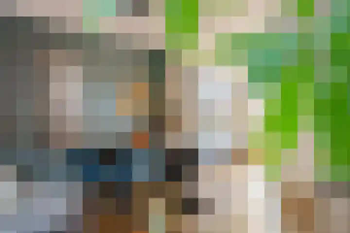 Sieraadlaan 95 Zoetermeer thumbnail 20