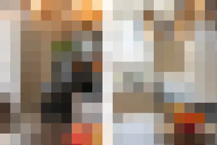 Sieraadlaan 95 Zoetermeer thumbnail 27