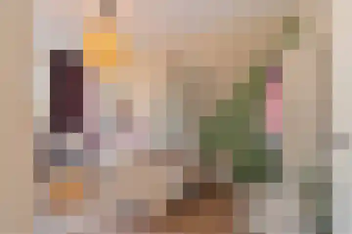 Sieraadlaan 95 Zoetermeer thumbnail 36