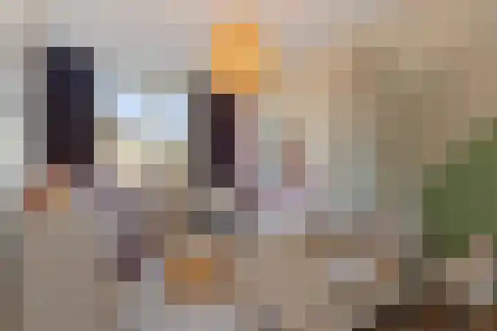 Sieraadlaan 95 Zoetermeer thumbnail 37
