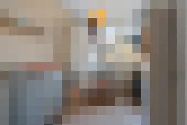 Sieraadlaan 95 Zoetermeer thumbnail 39