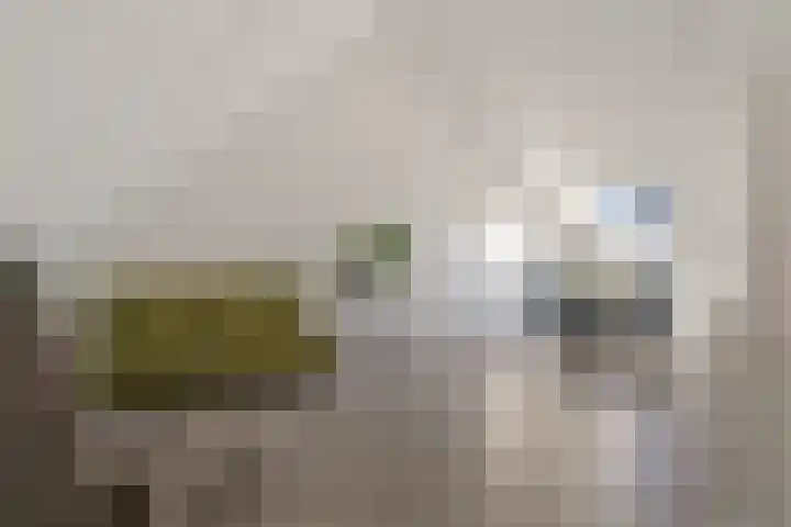 Sieraadlaan 95 Zoetermeer thumbnail 45