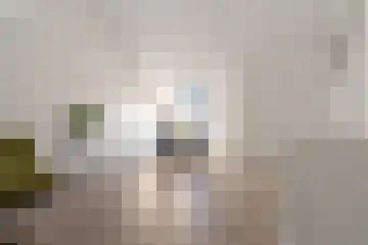 Sieraadlaan 95 Zoetermeer thumbnail 46
