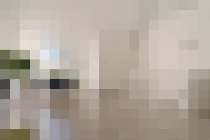 Sieraadlaan 95 Zoetermeer thumbnail 48