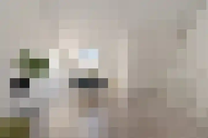 Sieraadlaan 95 Zoetermeer thumbnail 49