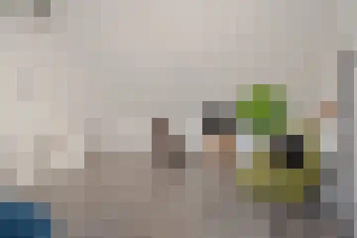 Sieraadlaan 95 Zoetermeer thumbnail 50