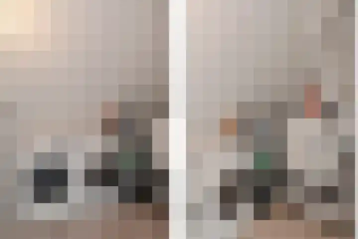 Sieraadlaan 95 Zoetermeer thumbnail 51
