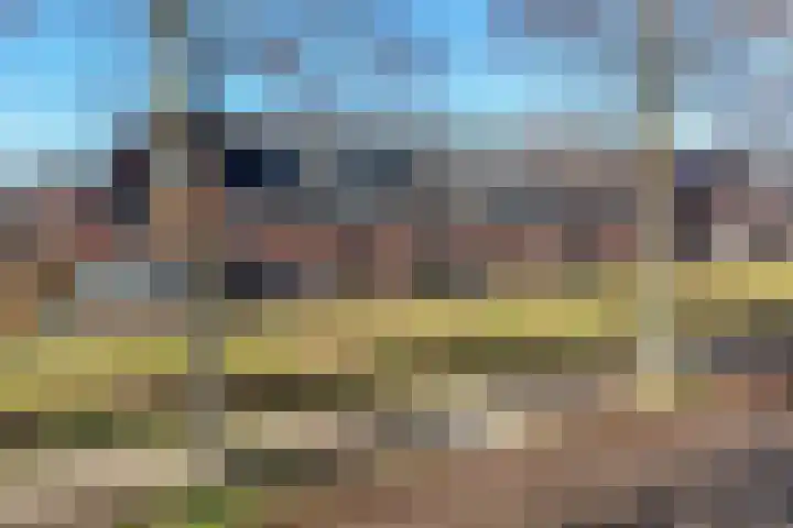 Sieraadlaan 95 Zoetermeer thumbnail 6