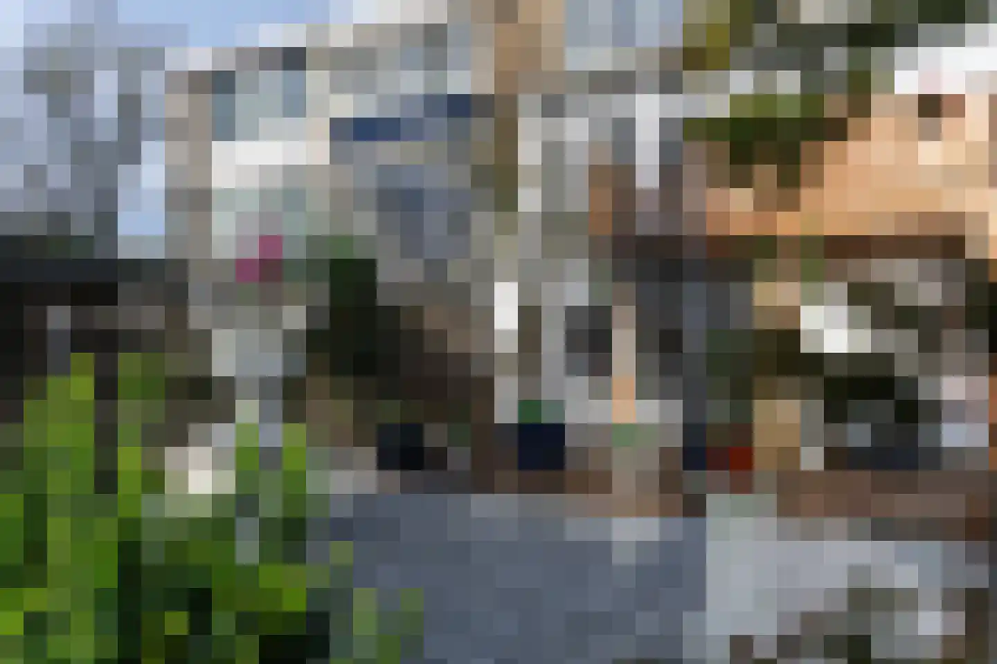 Sierbloem 5 Rotterdam thumbnail 26