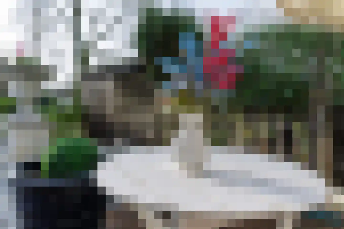 Sierbloem 5 Rotterdam thumbnail 27