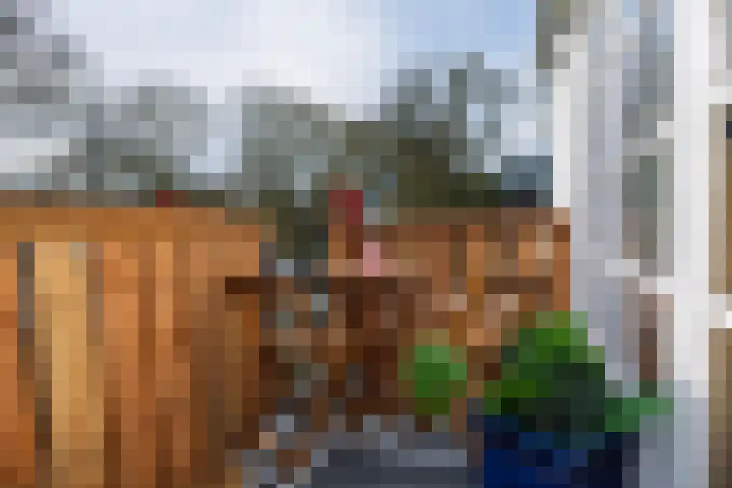 Sierbloem 5 Rotterdam thumbnail 28