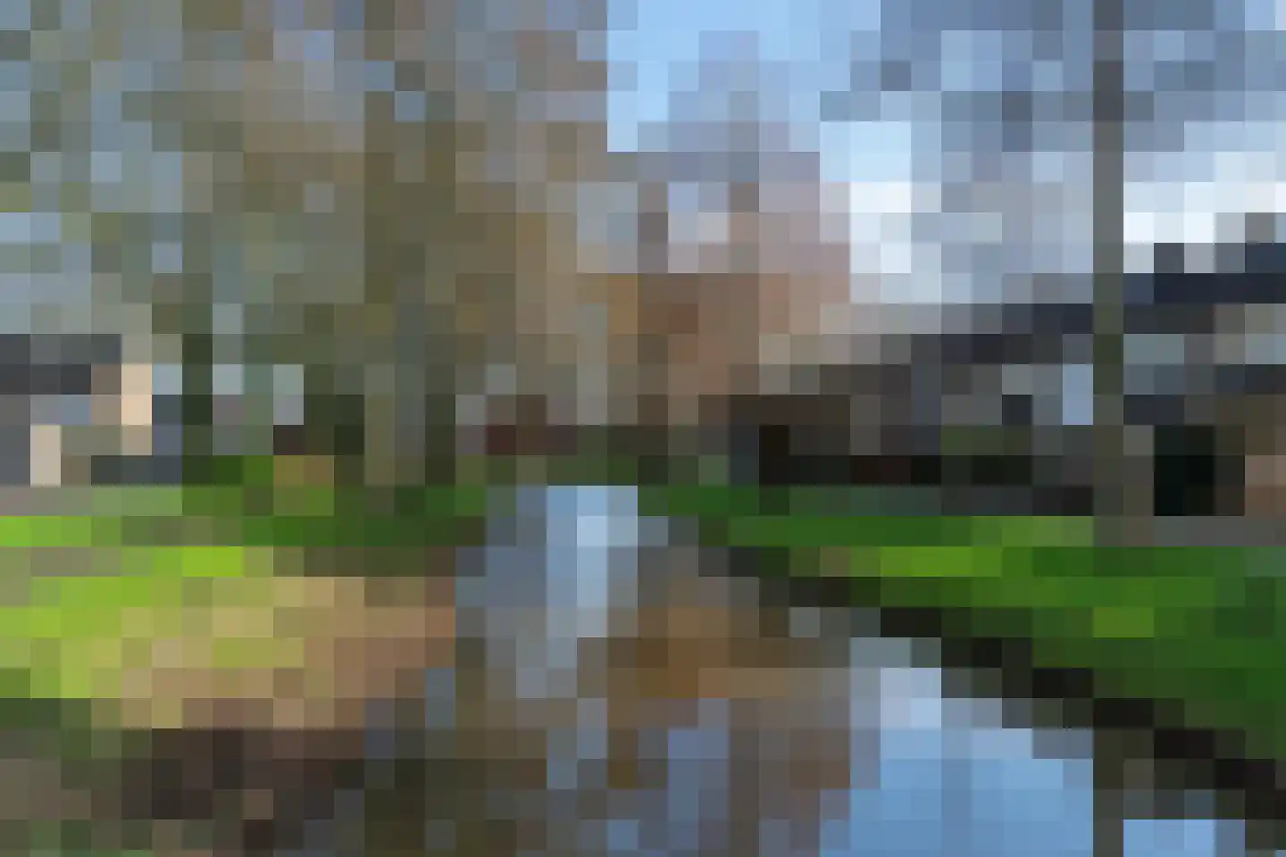 Sierbloem 5 Rotterdam thumbnail 48