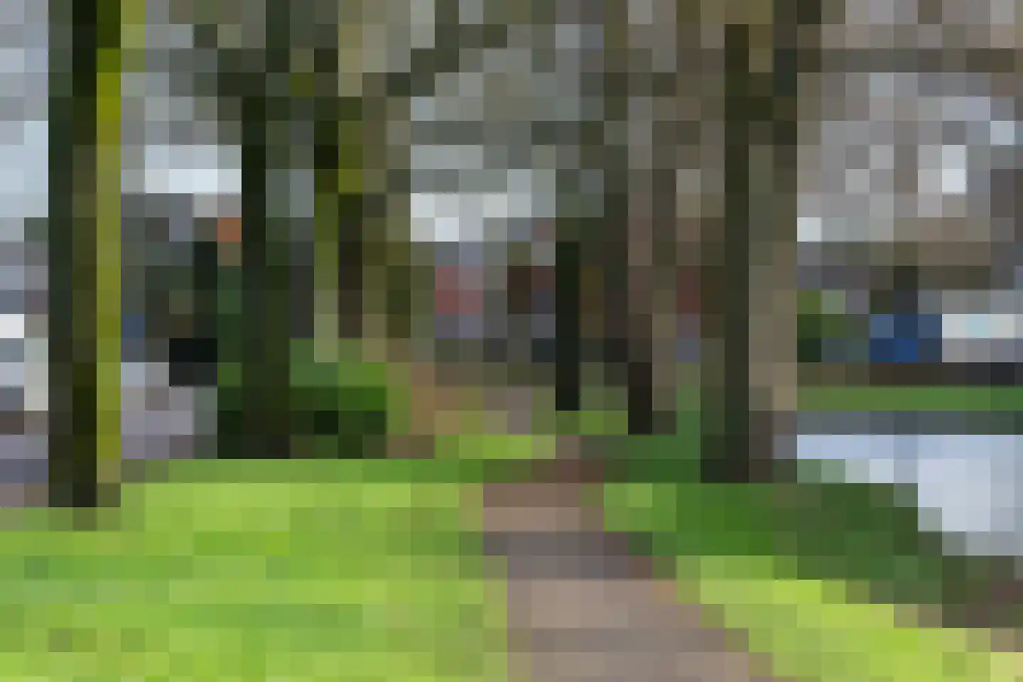 Sierbloem 5 Rotterdam thumbnail 50