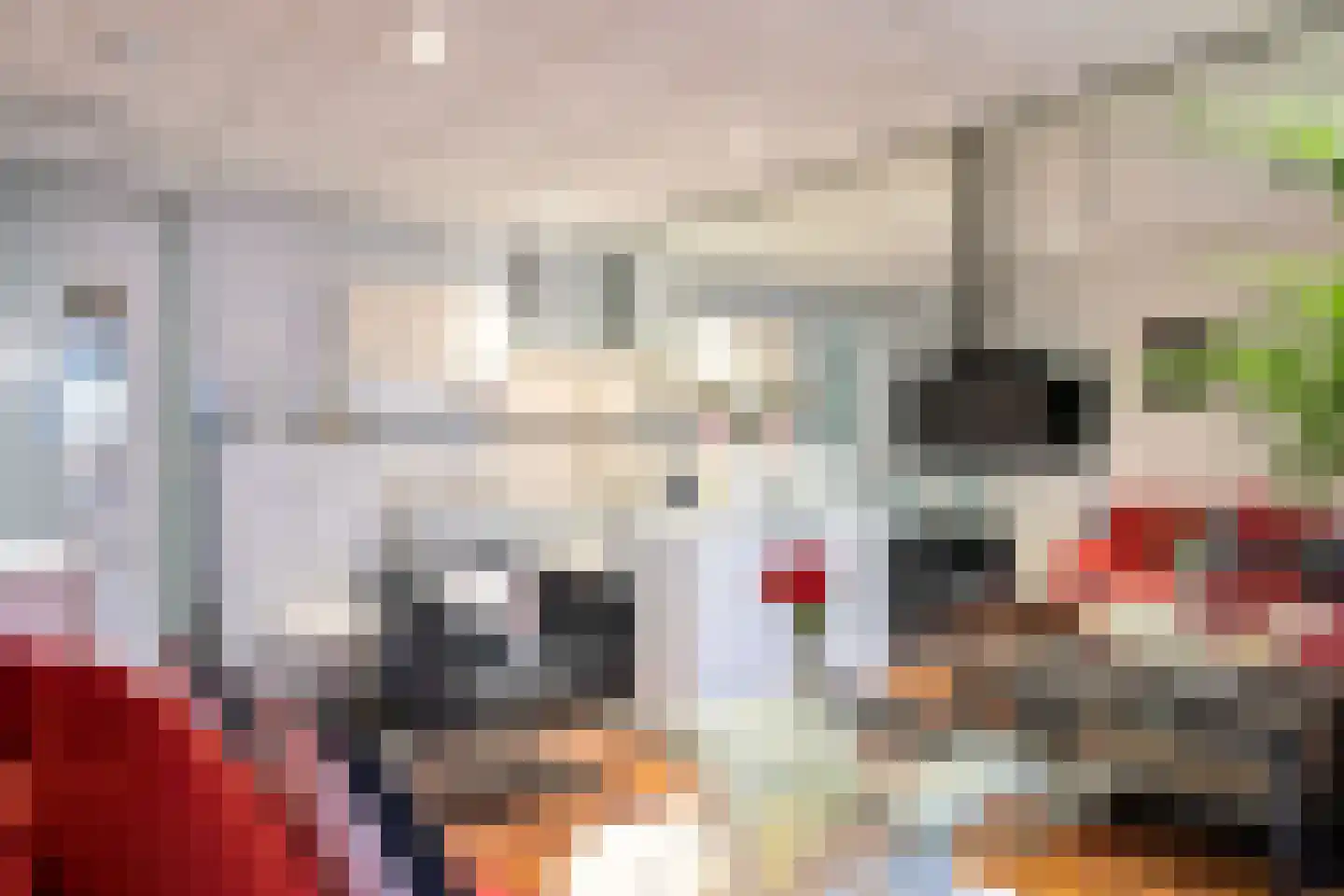 Sierbloem 5 Rotterdam thumbnail 6