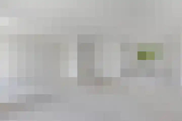 Sierdsmastee 10 Oudehaske thumbnail 13