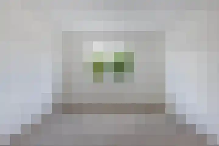 Sierdsmastee 10 Oudehaske thumbnail 27