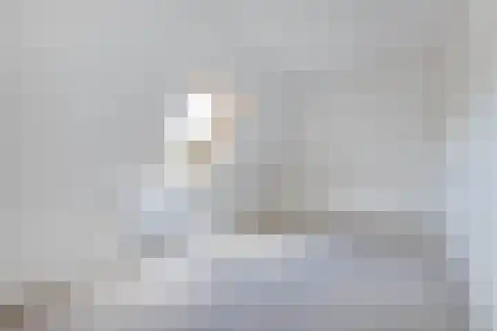 Sierdsmastee 10 Oudehaske thumbnail 37