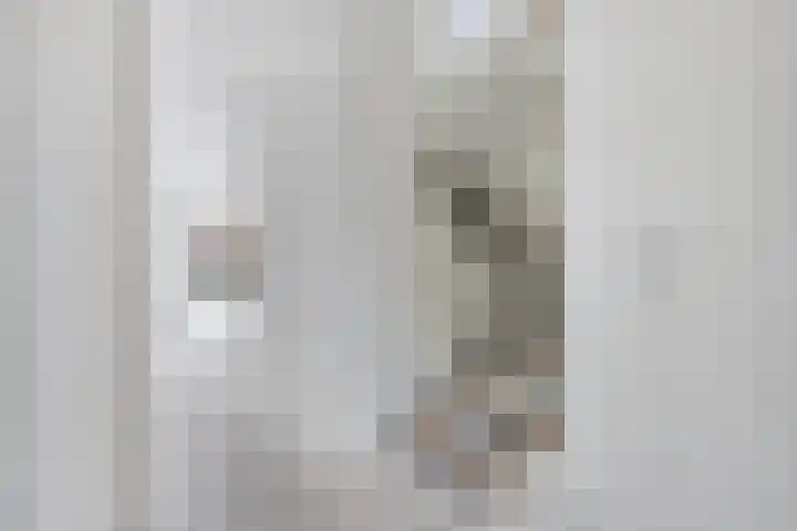 Sierdsmastee 10 Oudehaske thumbnail 6