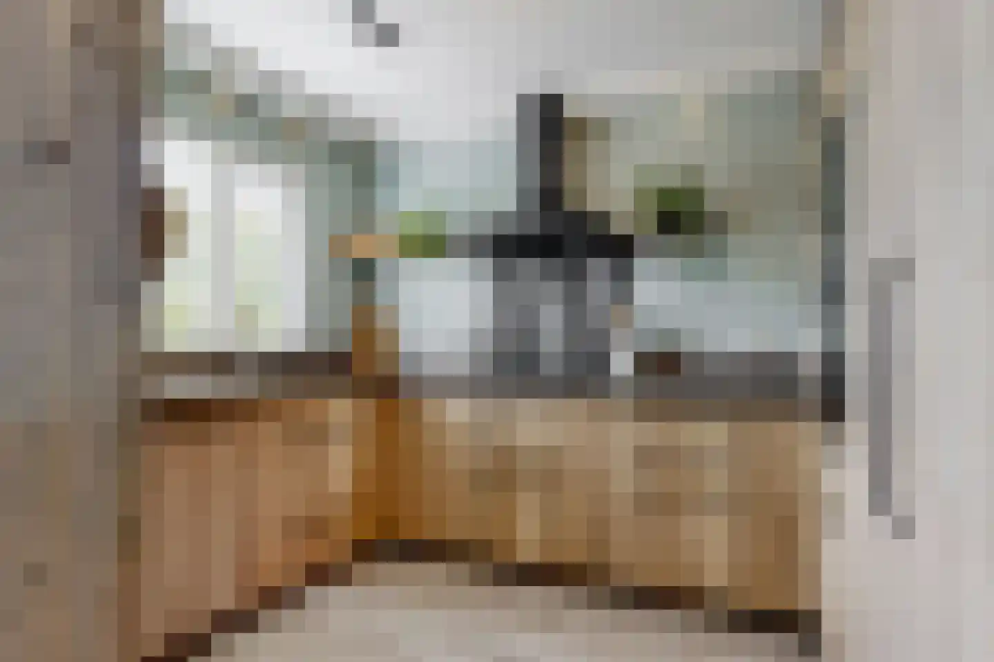 Sierduif 13 Nieuwegein thumbnail 12