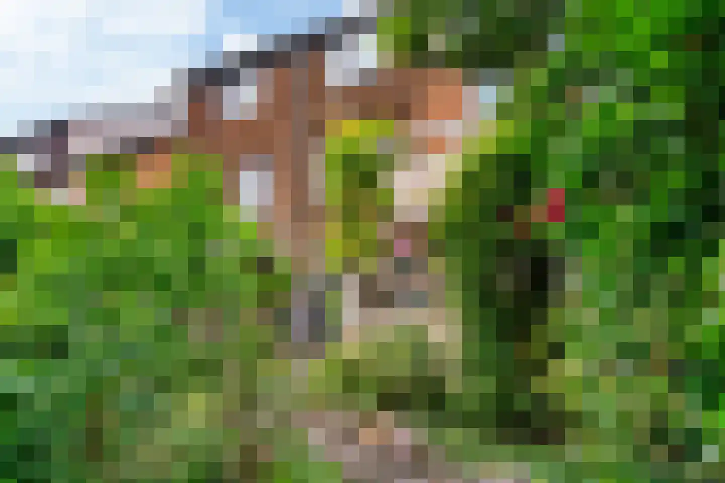 Sierduif 13 Nieuwegein thumbnail 14