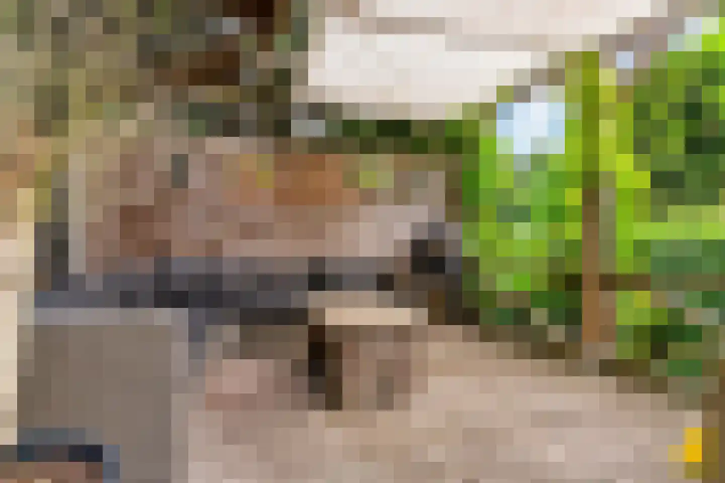 Sierduif 13 Nieuwegein thumbnail 17