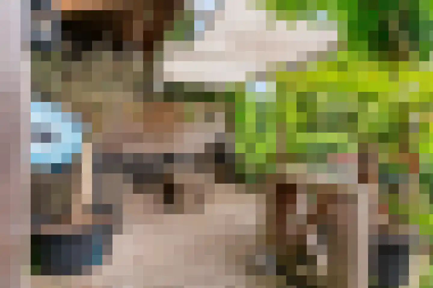 Sierduif 13 Nieuwegein thumbnail 18