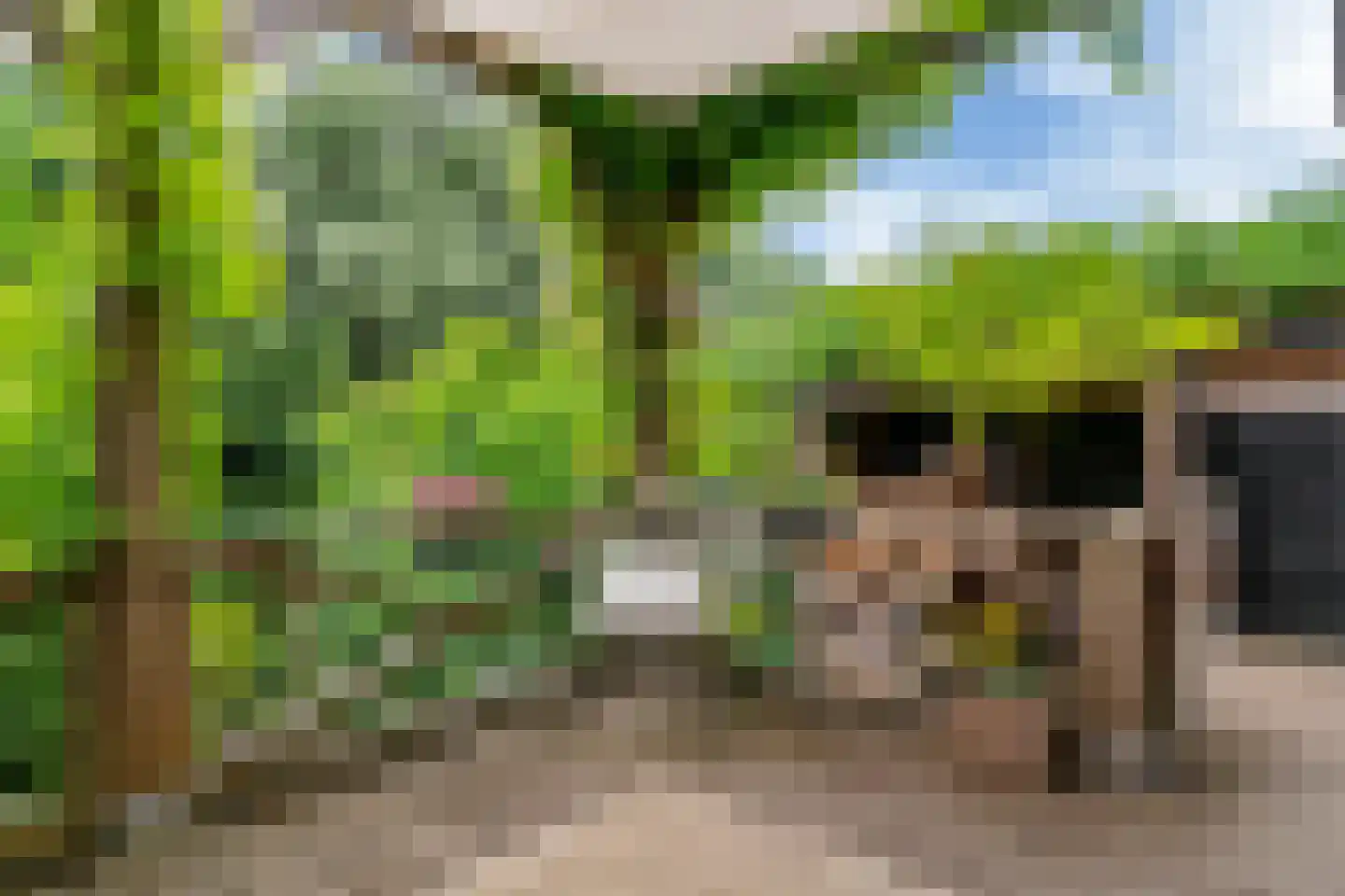Sierduif 13 Nieuwegein thumbnail 19