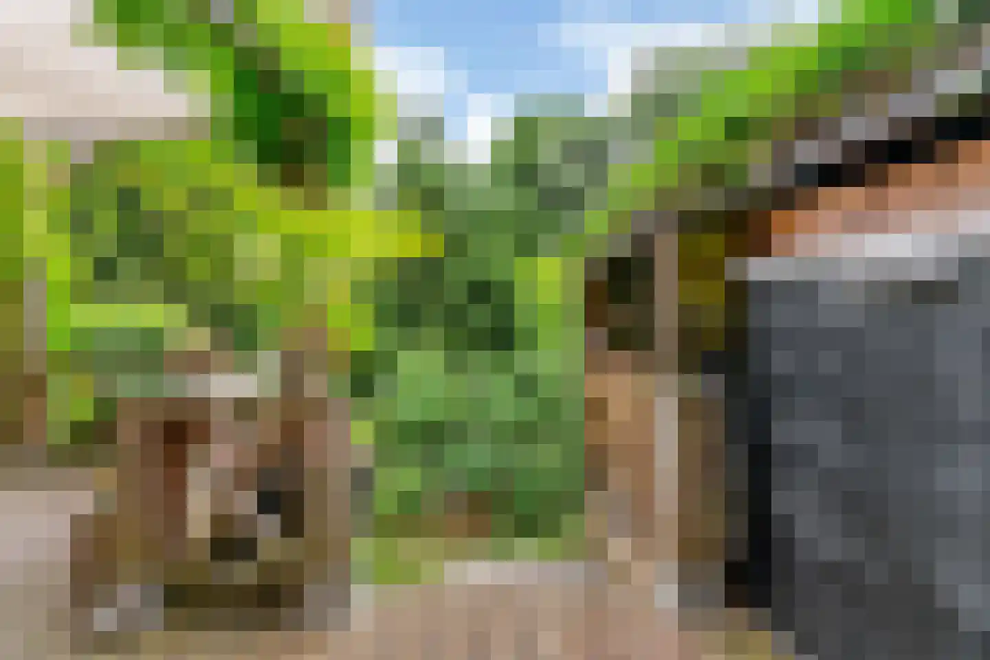 Sierduif 13 Nieuwegein thumbnail 20