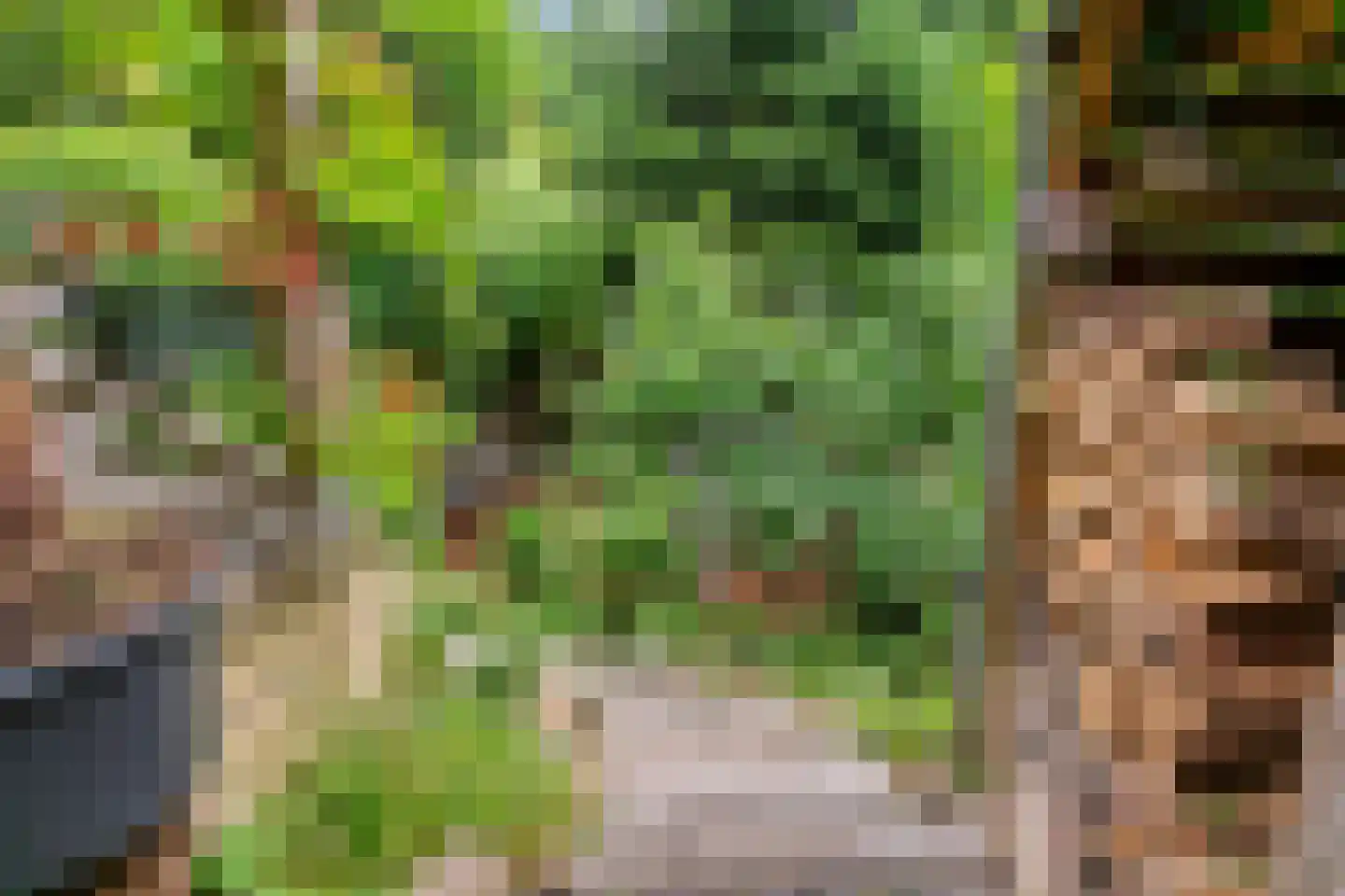 Sierduif 13 Nieuwegein thumbnail 23