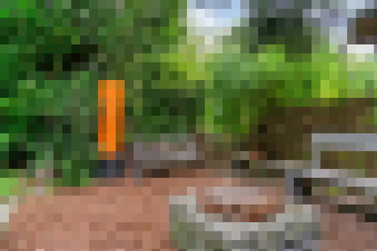 Sierduif 13 Nieuwegein thumbnail 25