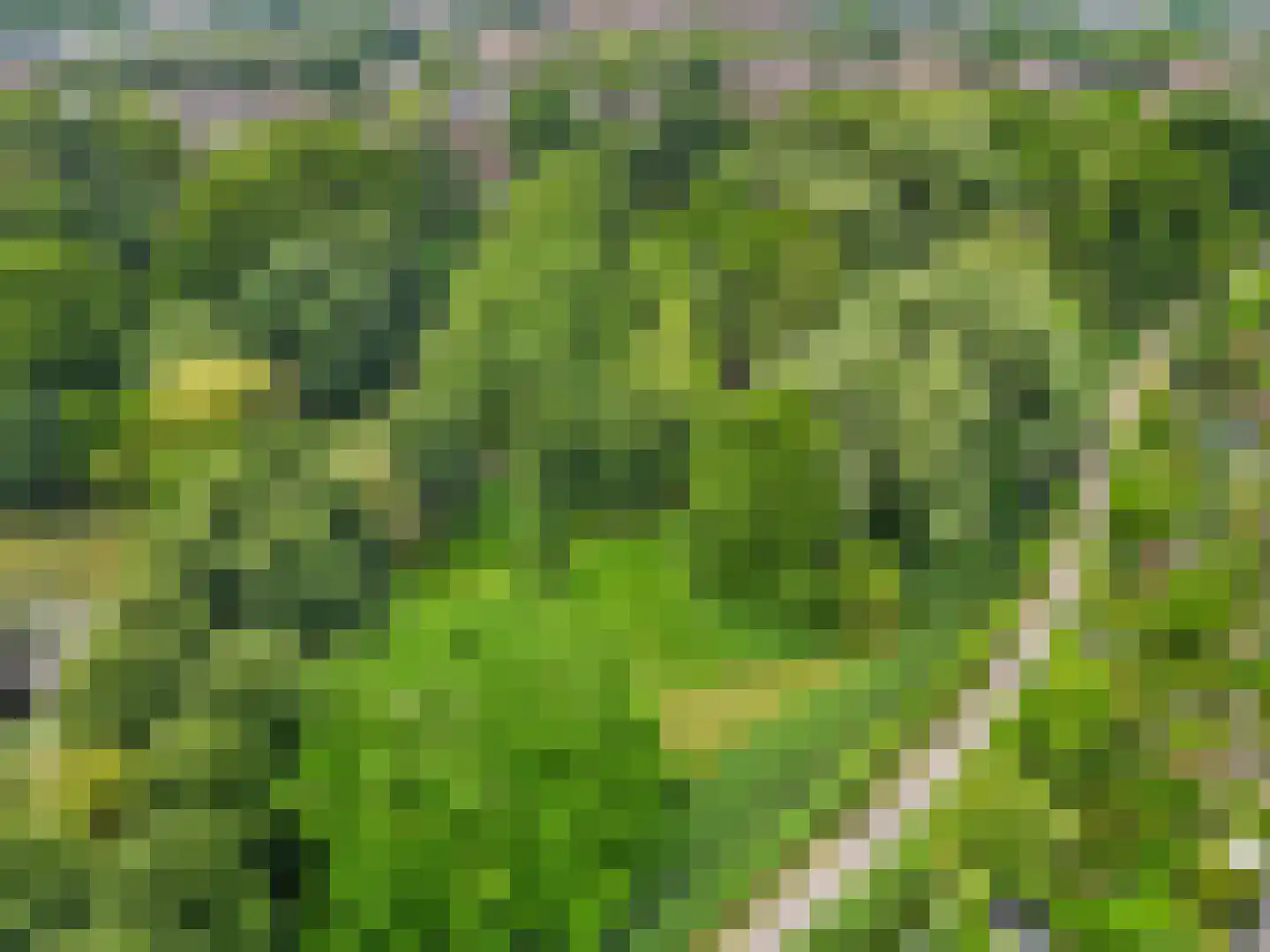 Sierduif 13 Nieuwegein thumbnail 27