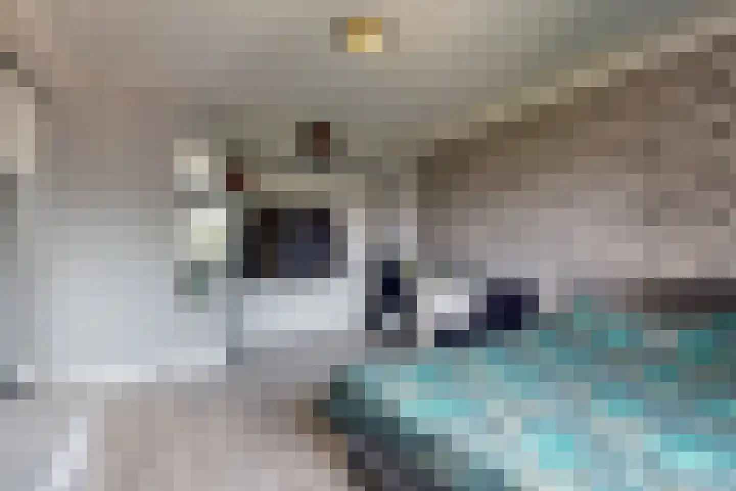 Sierduif 13 Nieuwegein thumbnail 32