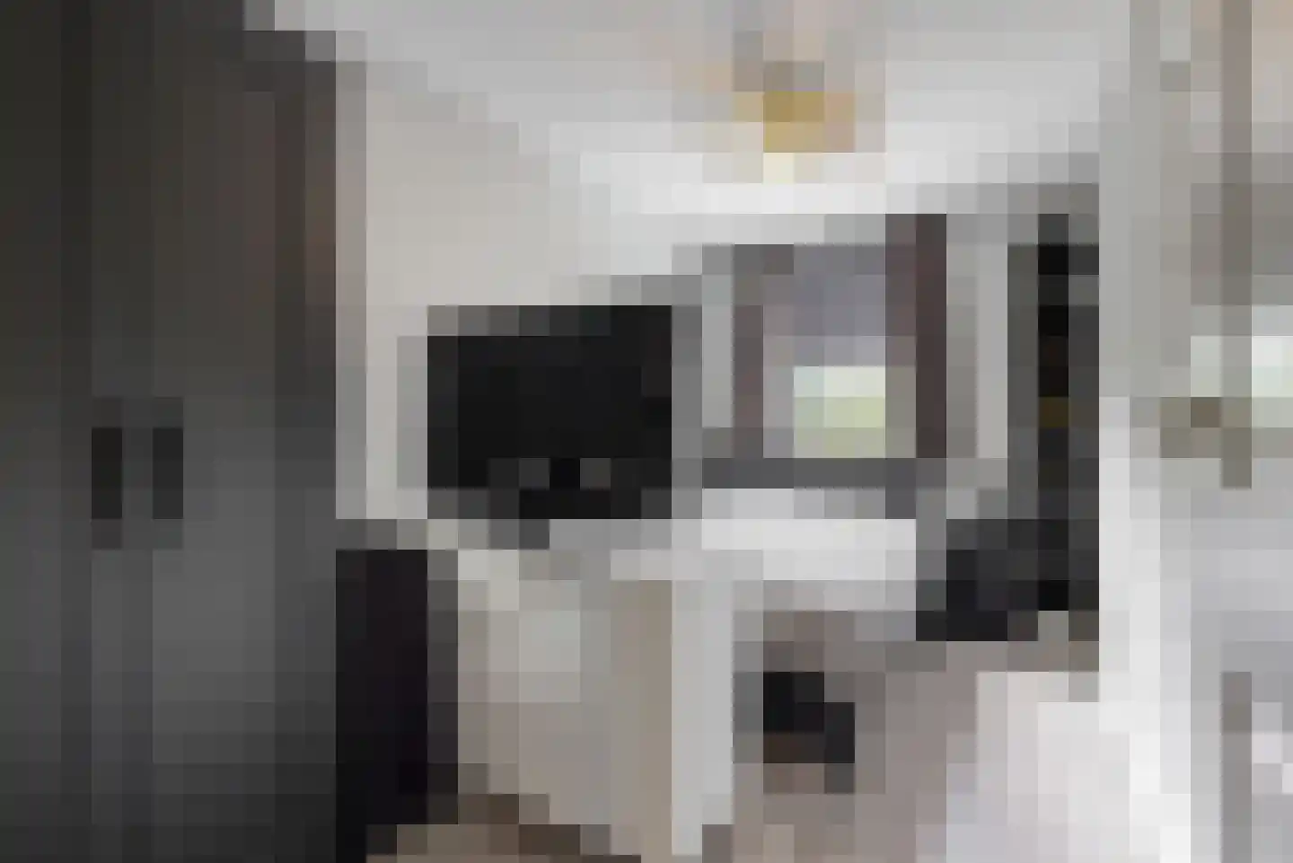 Sierduif 13 Nieuwegein thumbnail 33