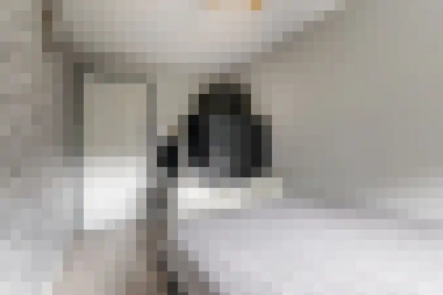Sierduif 13 Nieuwegein thumbnail 34