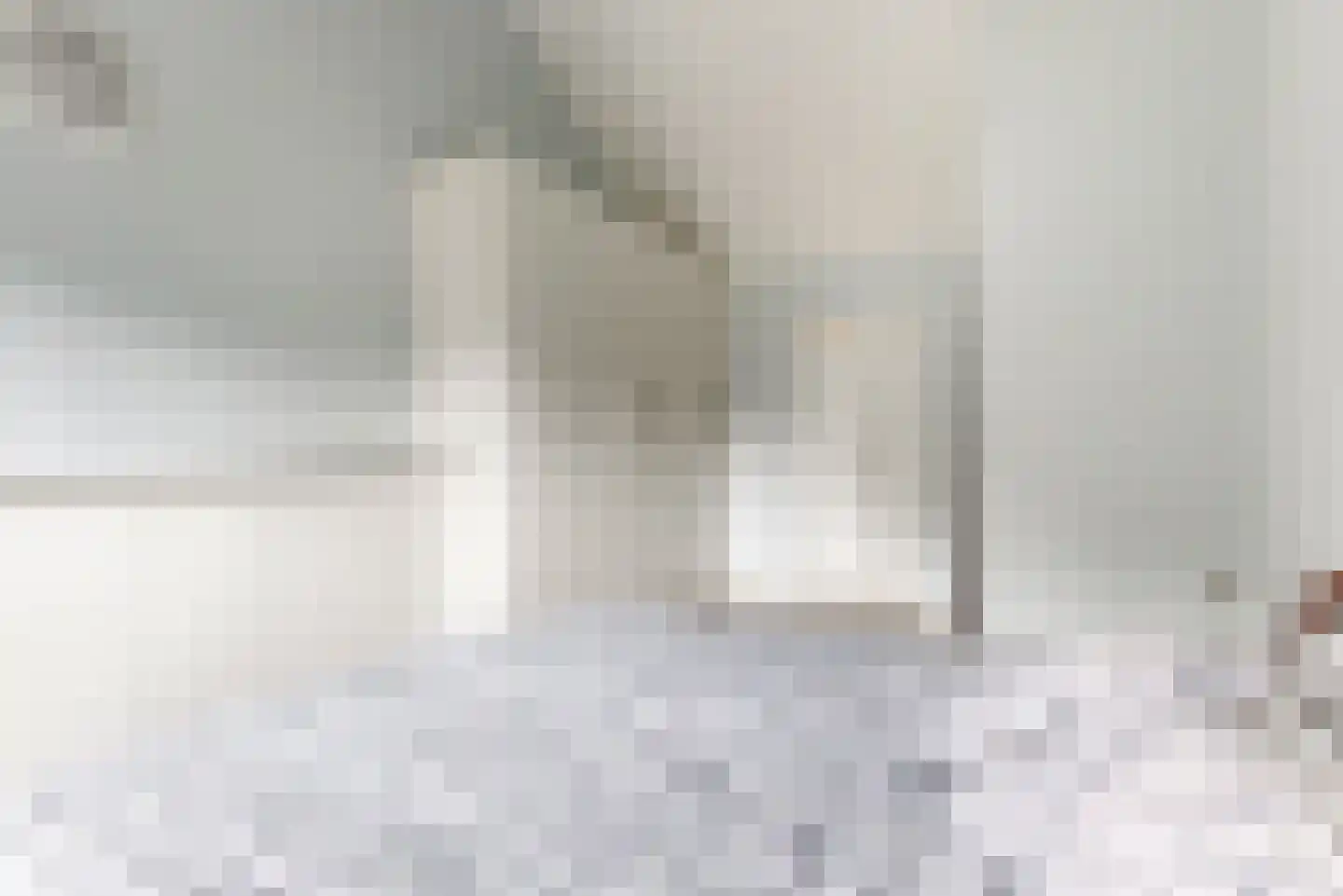 Sierduif 13 Nieuwegein thumbnail 38